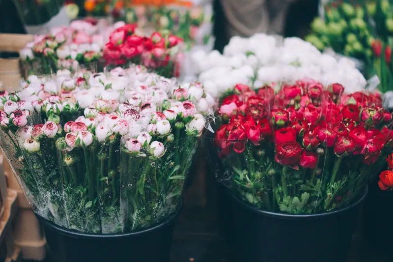 Foto de ejemplo: cubos de claveles blancos, rosas y rojos en una floristería